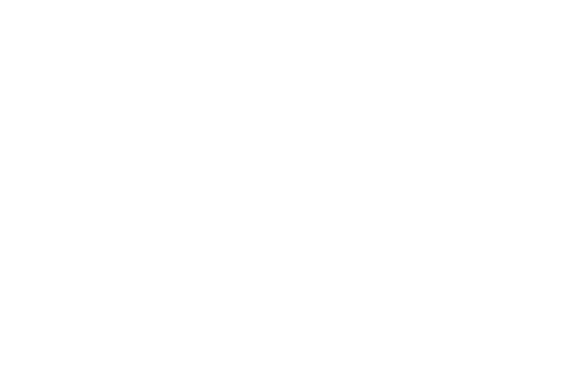 logo VIIT Transport